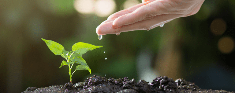 Come trovare nuovi clienti online: coltiva il rapporto con i potenziali clienti, e saranno più inclini a comprare da te